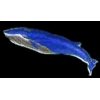 WHALE PINS BLUE WHALE PIN